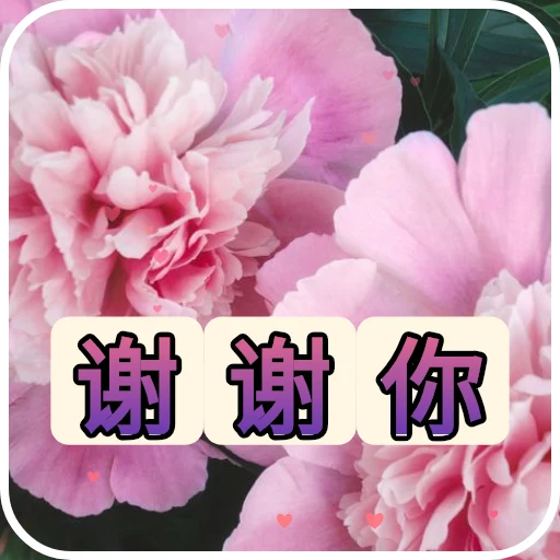 谢谢你 oleh @soulblade