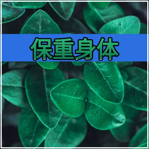 保重身体 oleh @soulblade