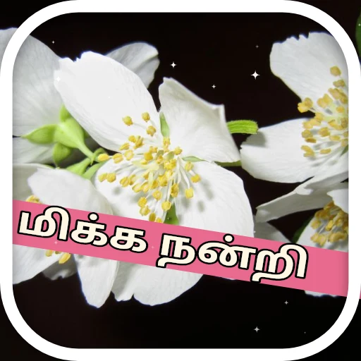 மிக்க நன்றி oleh @soulblade